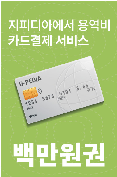 지피디아에서 용역 서비스 (백만원)