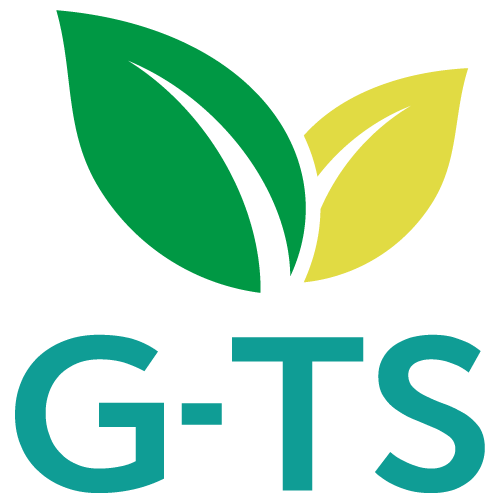 GTS